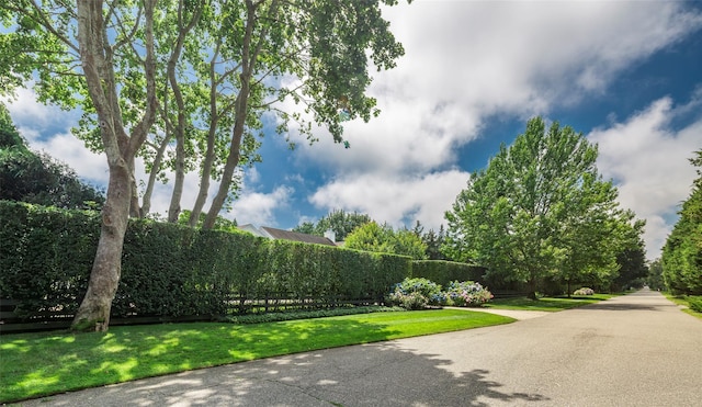 107 Edgewood Ave, Bridgehampton, NY 11932 - photo 48