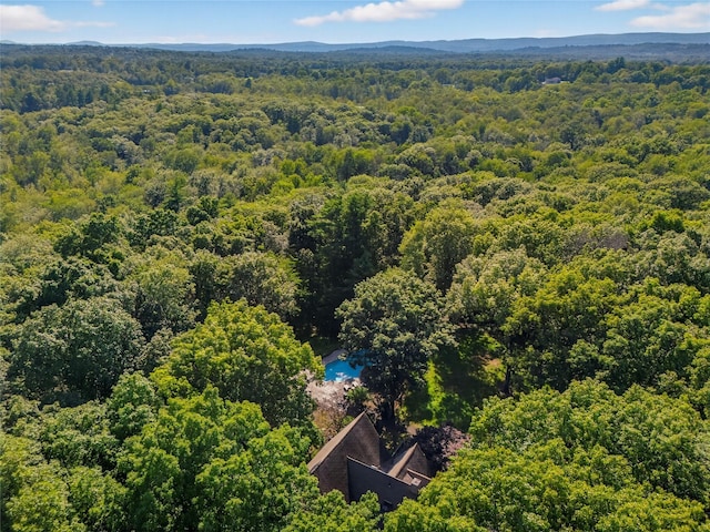 243 Smithtown Rd, Fishkill, NY 12524 - photo 43