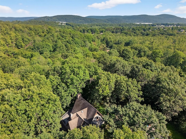 243 Smithtown Rd, Fishkill, NY 12524 - photo 44