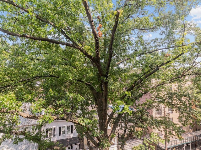 4265 Webster Ave Unit 6D, Bronx, NY 10470 - photo 10