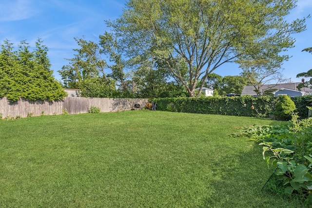32 Terry Rd, Patchogue, NY 11772 - photo 4