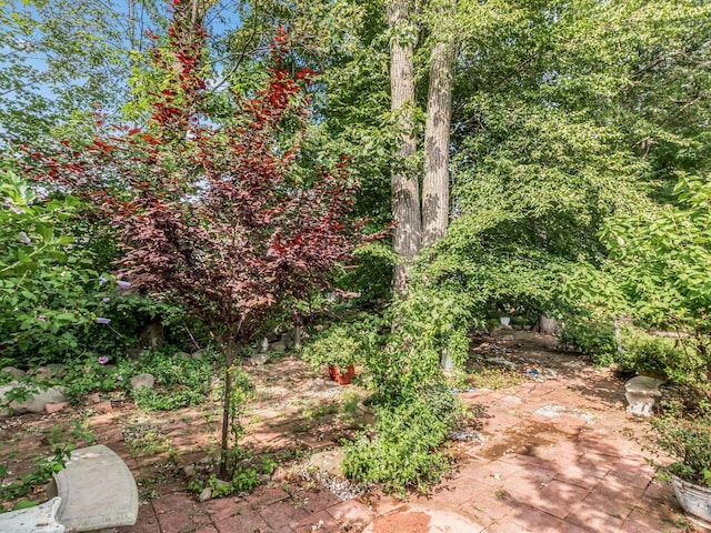 5 Drexel Ct, New City, NY 10956 - photo 28