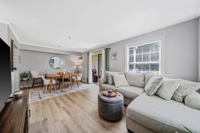 282 Fairview Cir, Middle Island, NY 11953 - photo 8