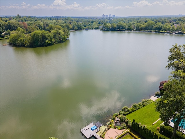 61 Lakeshore Dr, Eastchester, NY 10709 - photo 44