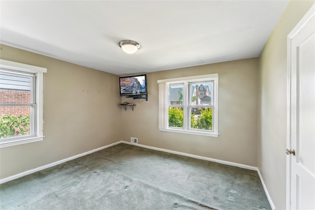 248 Cushing Ave, Williston Park, NY 11596 - photo 14