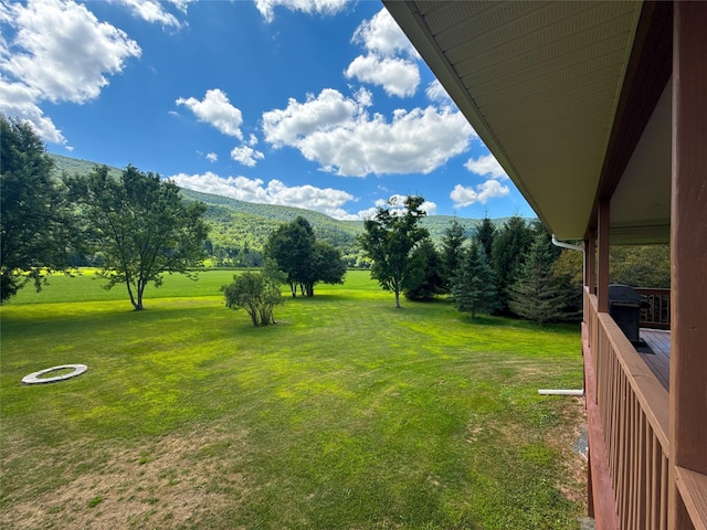 12325 State Highway 23, Ashland, NY 12407 - photo 31