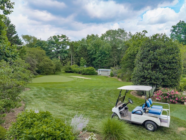 4 Clock Tower Ln, Old Westbury, NY 11568 - photo 34