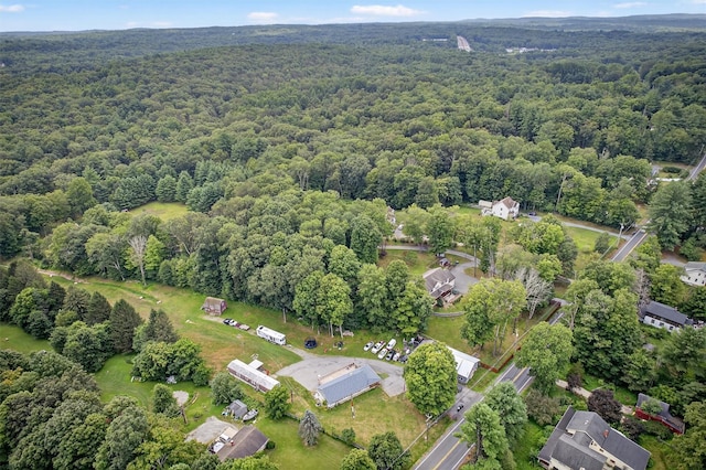 124 Burlingham Rd, Bloomingburg, NY 12721 - photo 46