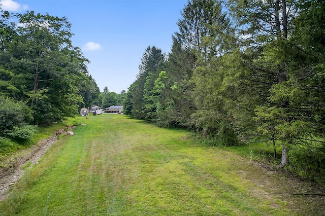 124 Burlingham Rd, Bloomingburg, NY 12721 - photo 47