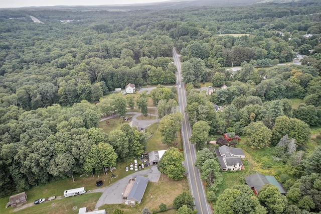 124 Burlingham Rd, Bloomingburg, NY 12721 - photo 48