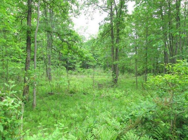 20 Elliott Pl, New Hampton, NY 10958 - photo 2