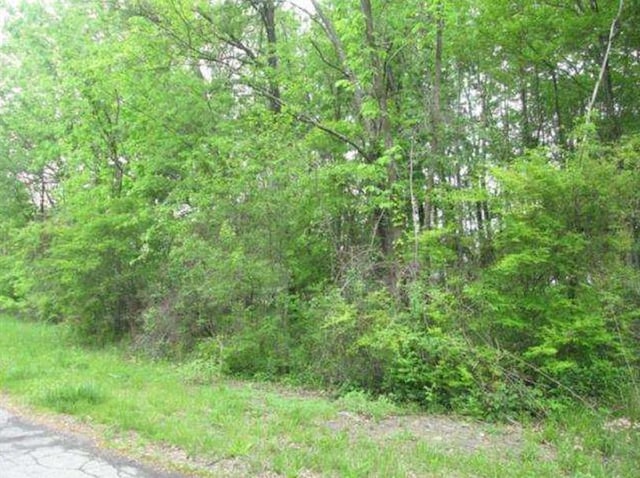 20 Elliott Pl, New Hampton, NY 10958 - photo 4