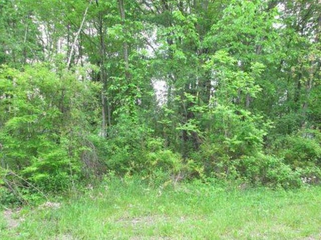 20 Elliott Pl, New Hampton, NY 10958 - photo 5