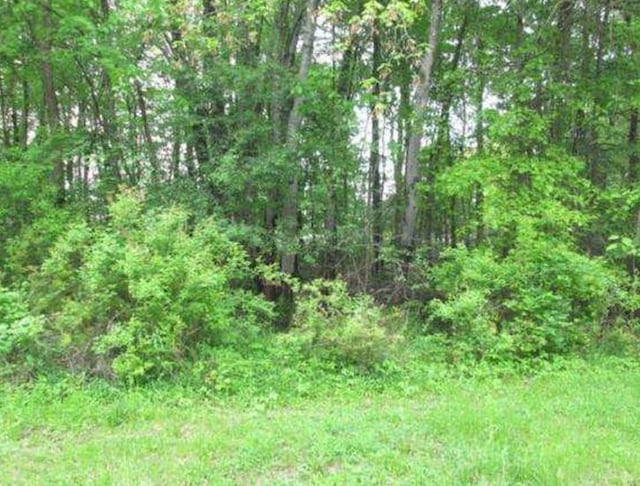 20 Elliott Pl, New Hampton, NY 10958 - photo 6