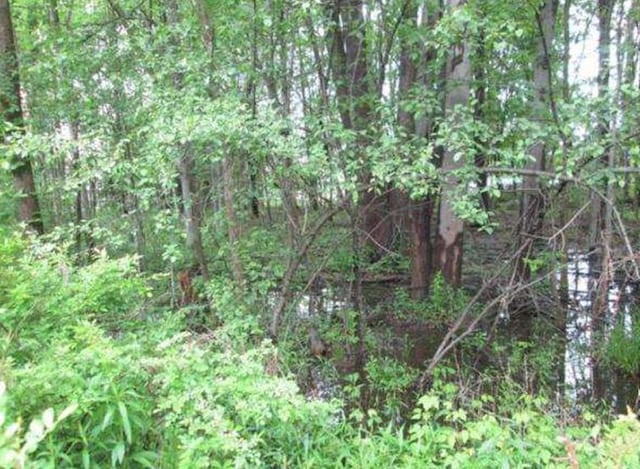 20 Elliott Pl, New Hampton, NY 10958 - photo 7
