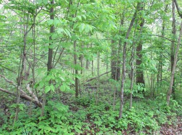 20 Elliott Pl, New Hampton, NY 10958 - photo 11