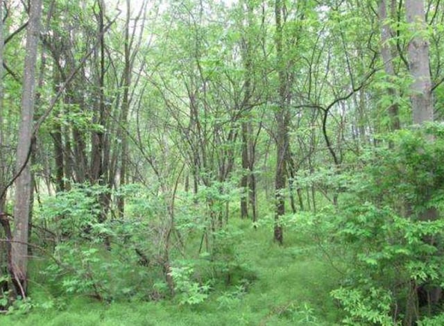 20 Elliott Pl, New Hampton, NY 10958 - photo 14