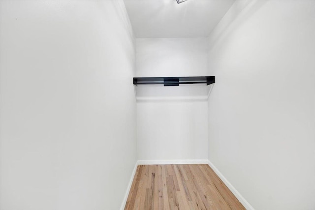 1869 Muliner Ave, Bronx, NY 10462 - photo 34