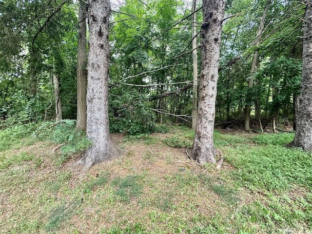 407 Neversink Dr, Port Jervis, NY 12771 - photo 33