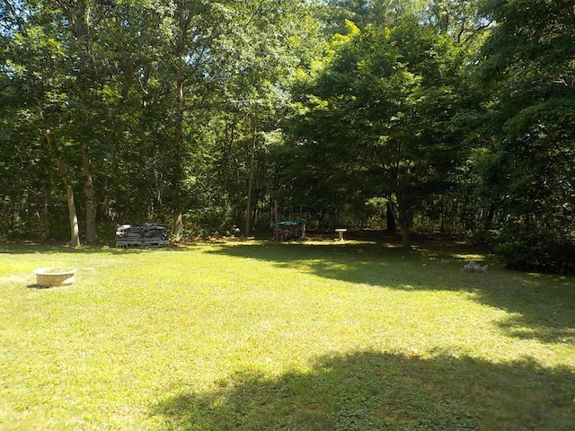 49 Stephano Rd, East Patchogue, NY 11772 - photo 4