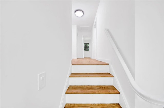 132 Holmes Ave, Hartsdale, NY 10530 - photo 8