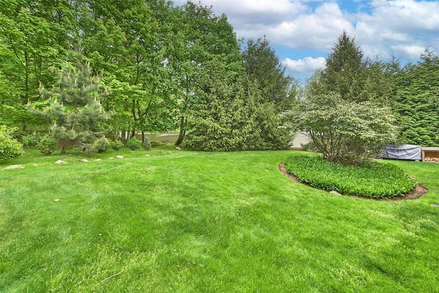 102 Butternut Rd, Briarcliff Manor, NY 10510 - photo 31