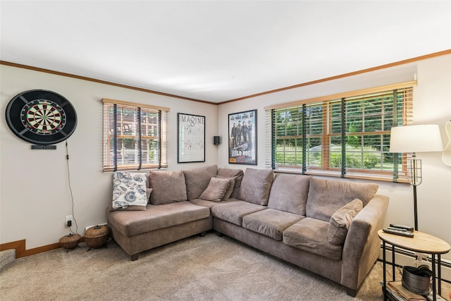 18 Thrush Dr, Smithtown, NY 11787 - photo 29