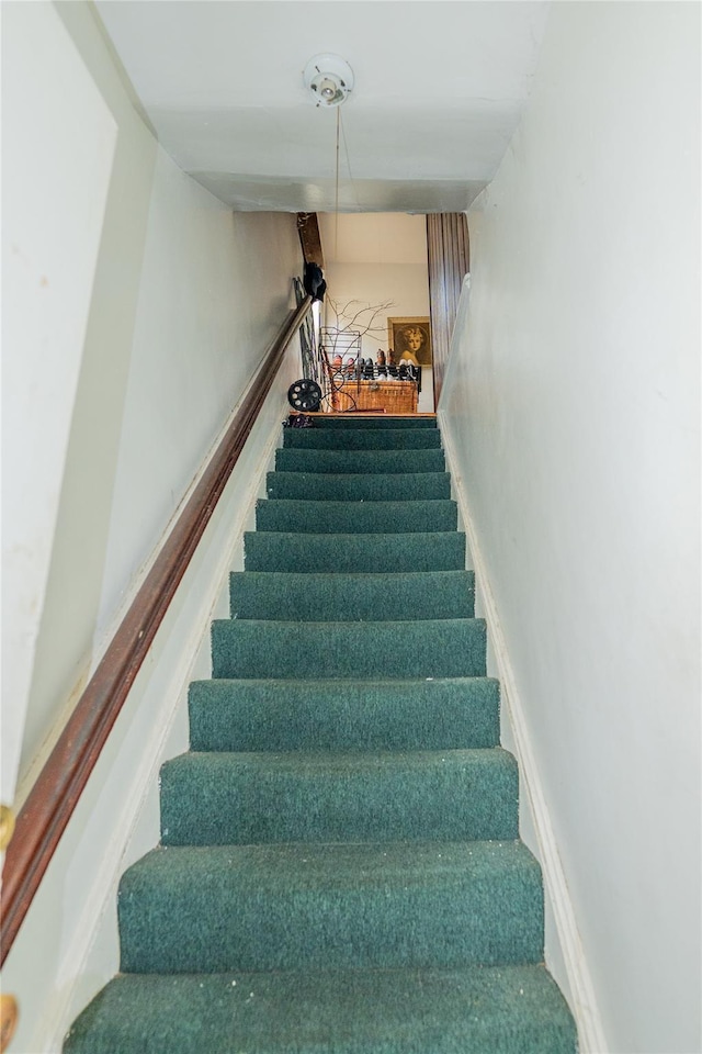 3021 Barkley Ave, Bronx, NY 10465 - photo 19