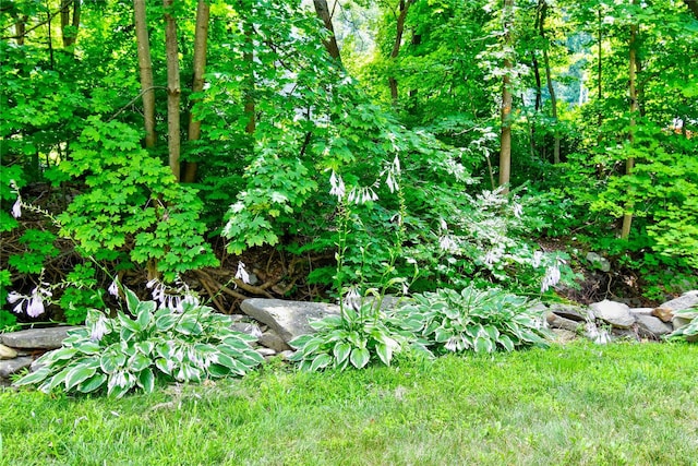 5 Orchard Trl, Monroe, NY 10950 - photo 28