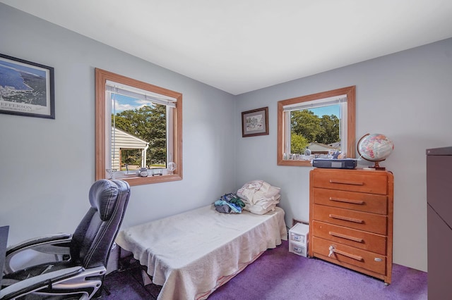 43 Bowdoin Rd, Centereach, NY 11720 - photo 21