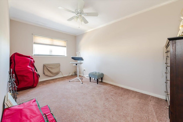 903 Vincent Ave, Bronx, NY 10465 - photo 12