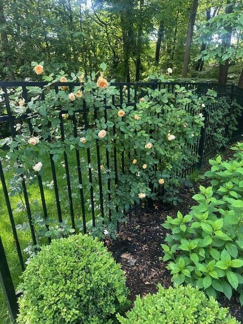 2 Soundview Dr, Port Jefferson, NY 11777 - photo 35