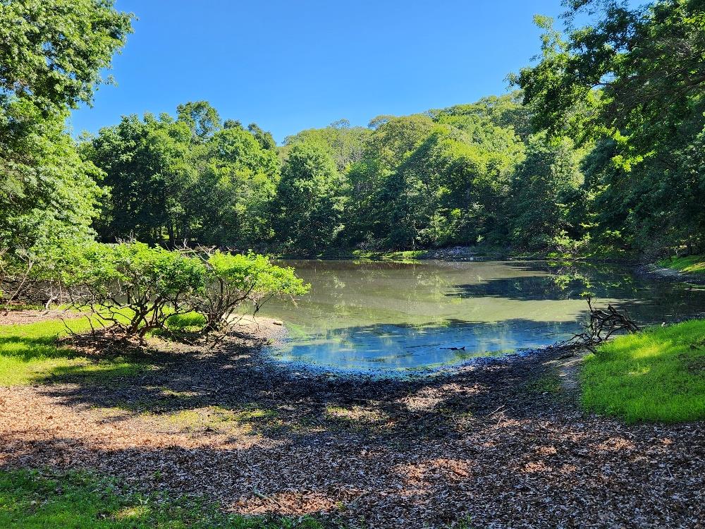 21 W Bartlett Rd, Middle Island, NY 11953 - photo 2