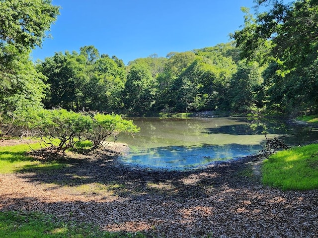 21 W Bartlett Rd, Middle Island, NY 11953 - photo 2