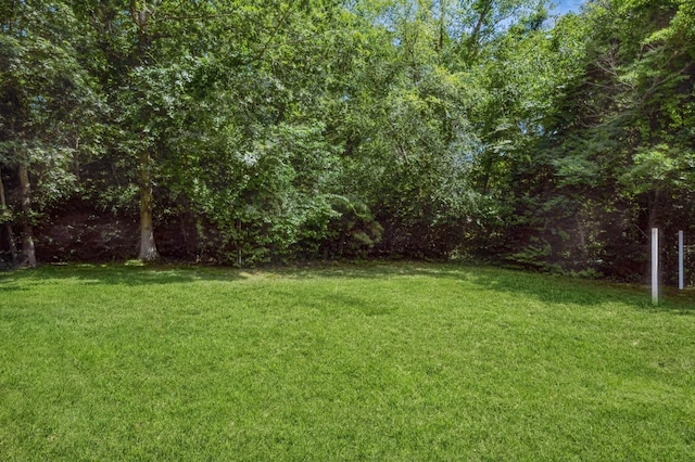 8 Willimatic Ct, Shoreham, NY 11786 - photo 31