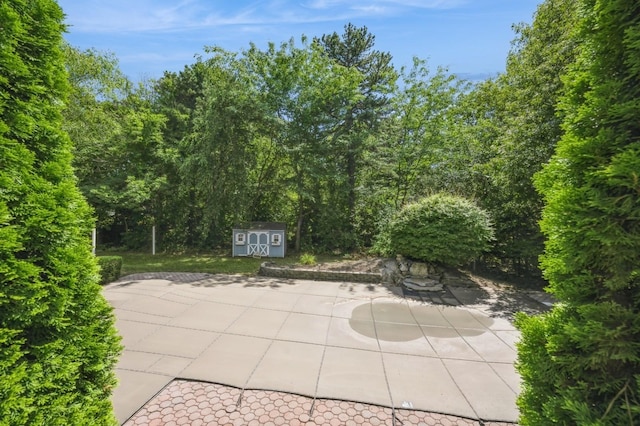 8 Willimatic Ct, Shoreham, NY 11786 - photo 38