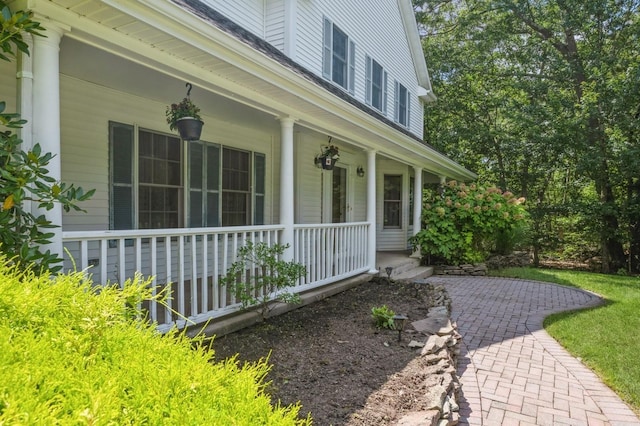 8 Willimatic Ct, Shoreham, NY 11786 - photo 40