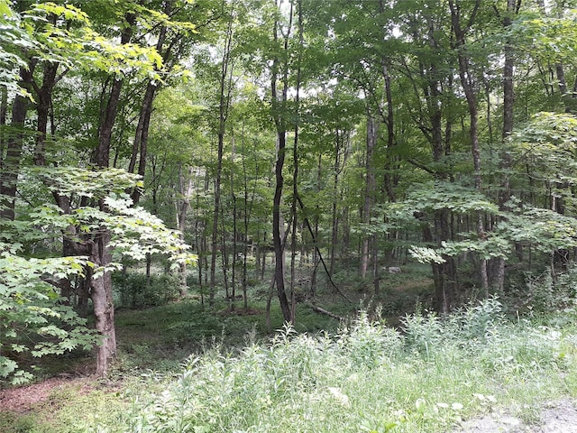 1407 Eminence Rd, East Branch, NY 13756 - photo 1
