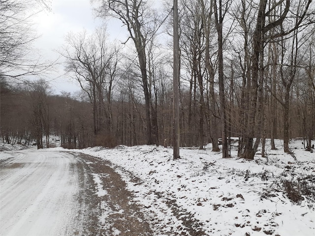 1407 Eminence Rd, East Branch, NY 13756 - photo 2