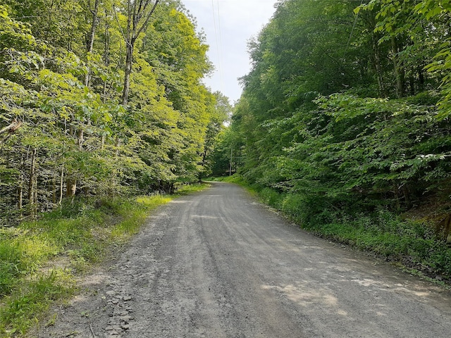 1407 Eminence Rd, East Branch, NY 13756 - photo 4