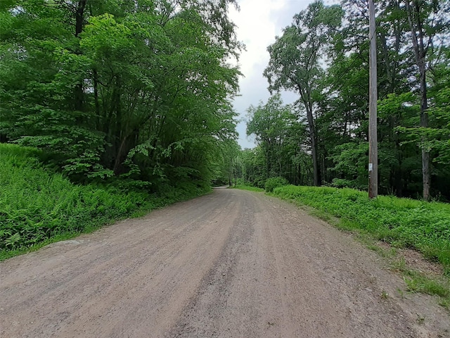 1407 Eminence Rd, East Branch, NY 13756 - photo 6