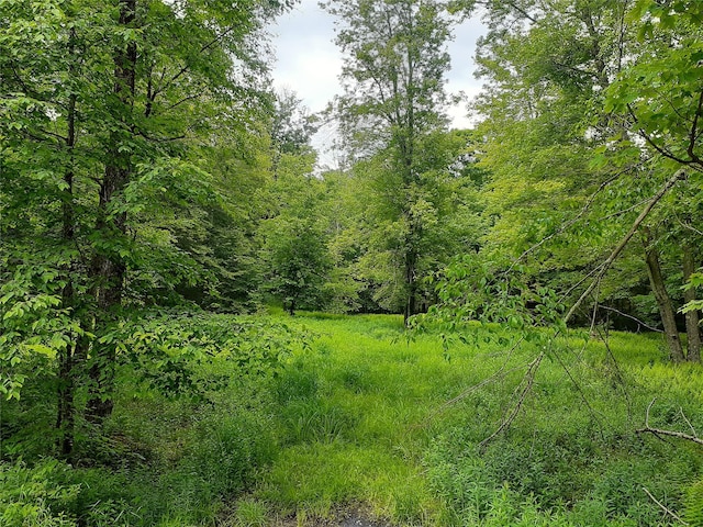 1407 Eminence Rd, East Branch, NY 13756 - photo 7