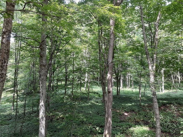 1407 Eminence Rd, East Branch, NY 13756 - photo 8
