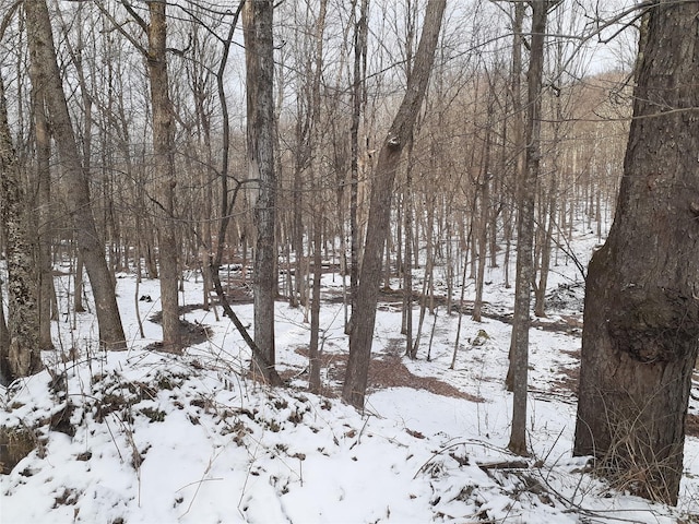1407 Eminence Rd, East Branch, NY 13756 - photo 9