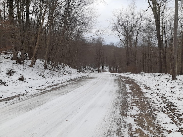 1407 Eminence Rd, East Branch, NY 13756 - photo 10