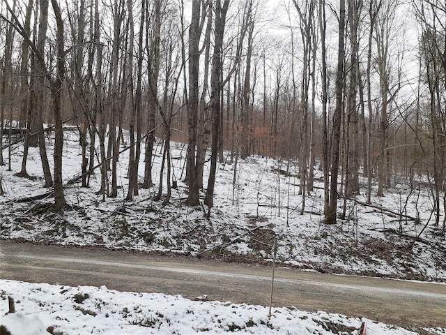 1407 Eminence Rd, East Branch, NY 13756 - photo 12