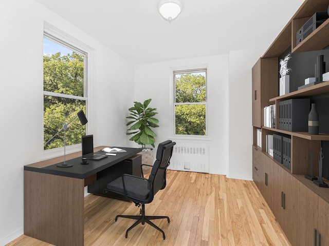 4315 Webster Ave Unit 5F, Bronx, NY 10470 - photo 24