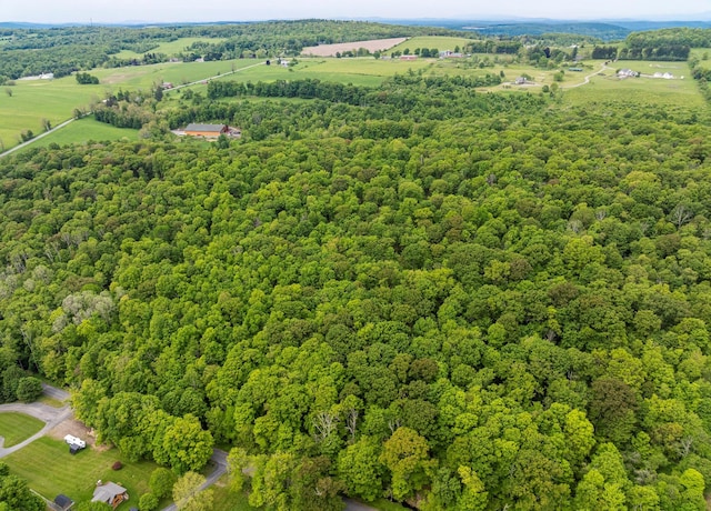 A Skunks Misery Rd, Millerton, NY 12546 - photo 1