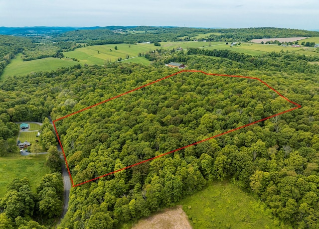 A Skunks Misery Rd, Millerton, NY 12546 - photo 3