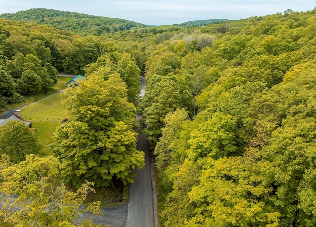 A Skunks Misery Rd, Millerton, NY 12546 - photo 4